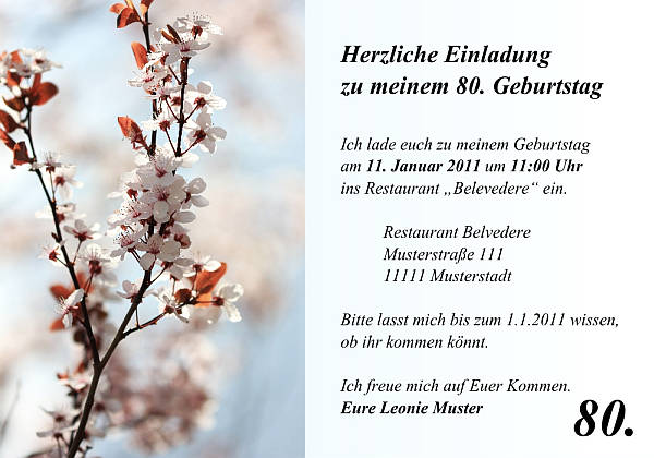 Individuelle Geburtstagseinladungen personalisierte Einladungen zum Geburtstag